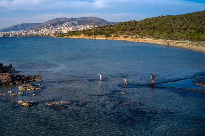Καβούρι άμπωτη
