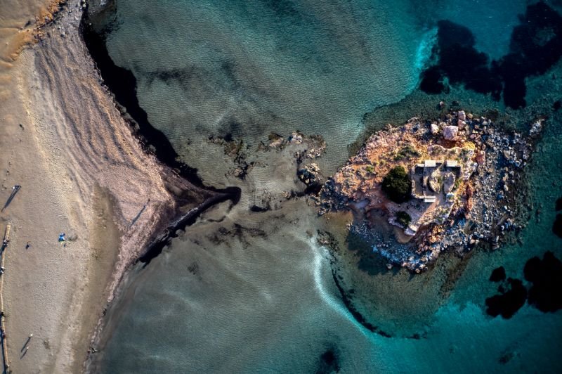 Καβούρι άμπωτη