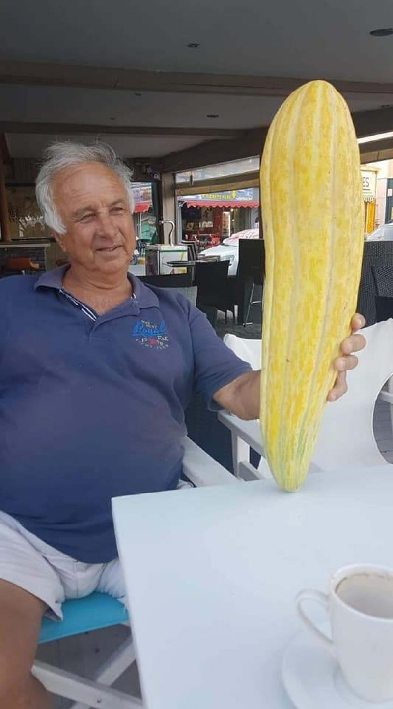 Πεπονοξυλάγγουρο γίγας