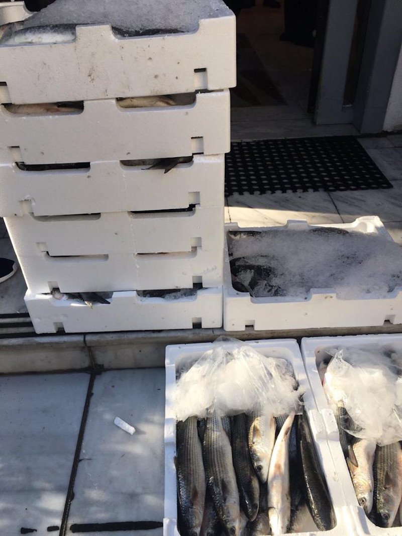 Η κυρία Αραμπατζη ευχαρίστησε και τους Έλληνες ψαράδες για την προσφορά τους