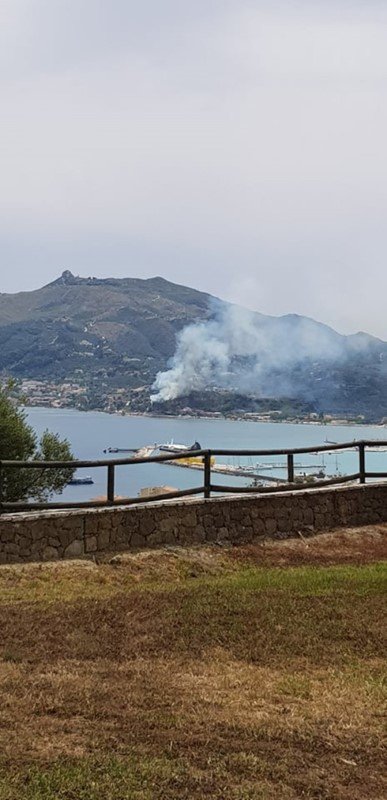 Η πυρκαγιά στο Αργάσι από μακριά