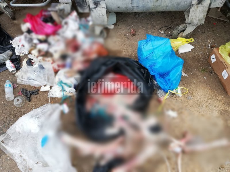 Μέχρι και υπολείμματα από αρνιά πετούν στα σκουπίδια ασυνείδητοι