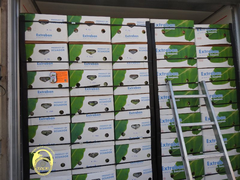 Φορτίο 34 κιλά κοκαΐνης σε κοντέινερ με μπανάνες