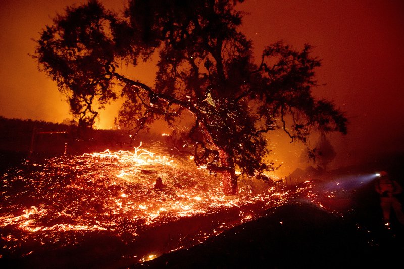 Η πυρκαγιά στην Καλιφόρνια έχει λάβει μεγάλες διαστάσεις / Φωτογραφία: AP