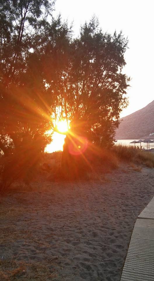 Το κάμπινγκ βρίσκεται δίπλα στην βραβευμένη με γαλάζια σημαία αμμουδερή παραλία των Καμαρών