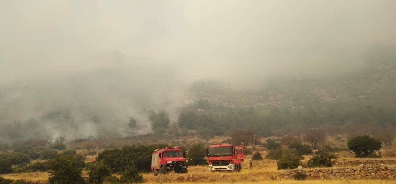 Μαίνεται η φωτιά στους Δελφούς / Φωτογραφία: desfinanews