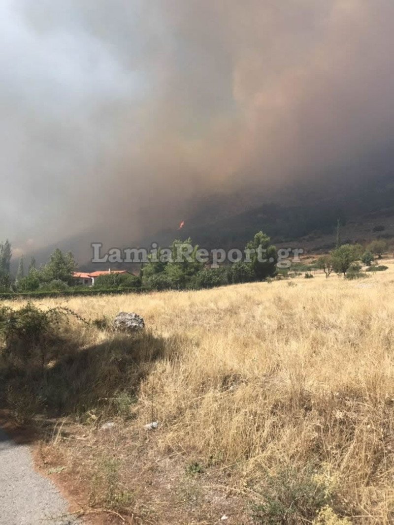 Η φωτιά είχε λάβει μεγάλες διαστάσεις / Φωτογραφία: lamiareport.gr