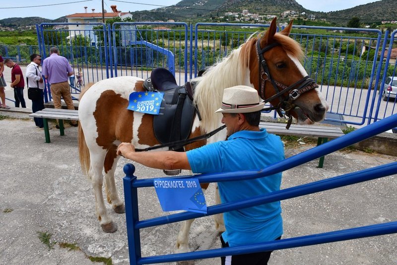 Δένει άλογο