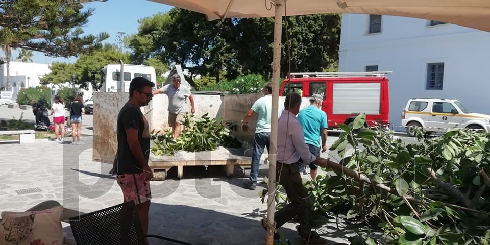 Πεσμένο δέντρο στην Πάρο