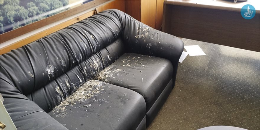 Ακαθαρσίες από πουλιά πάνω σε καναπέ του κτιρίου