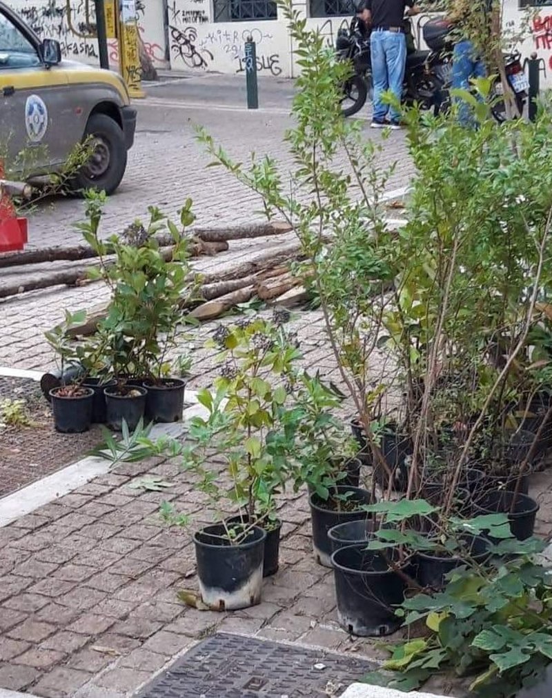 Παρούσα και η υπηρεσία Κηποτεχνίας του δήμου Αθηναίων
