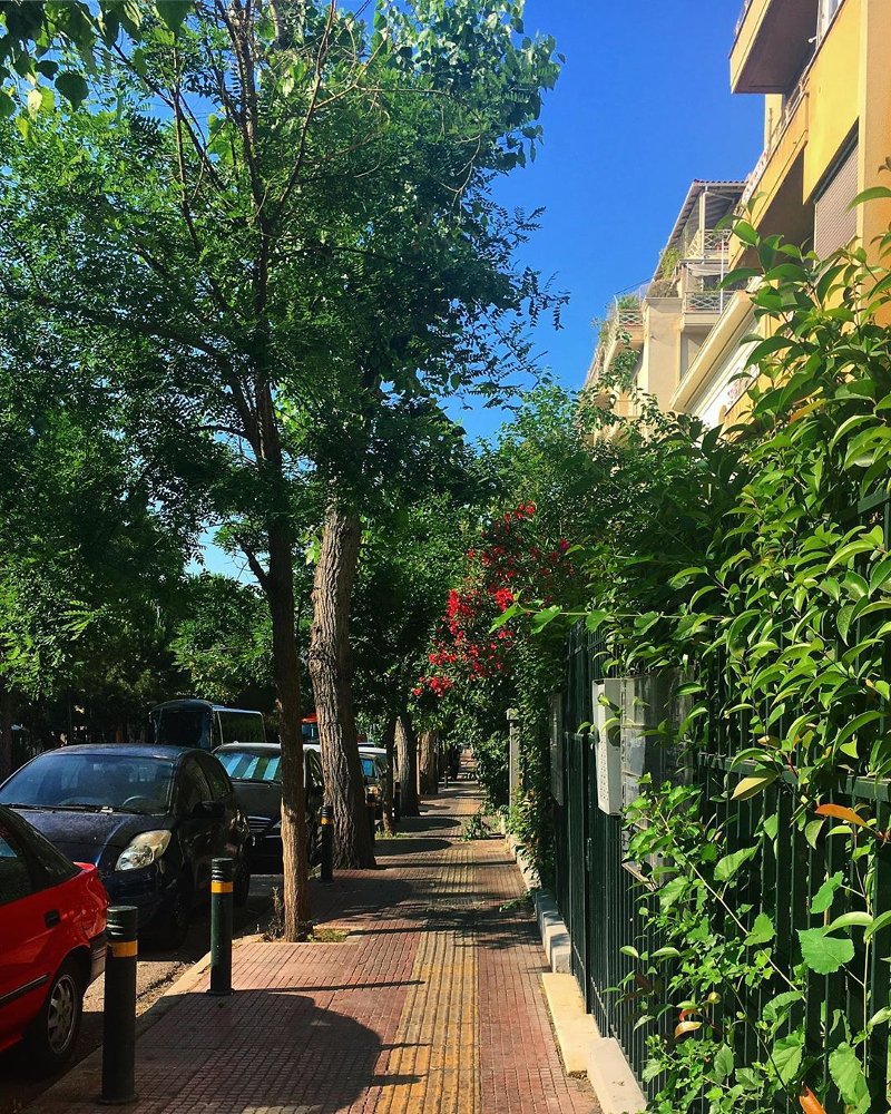 Δρόμος με δέντρα στην Κυψέλη
