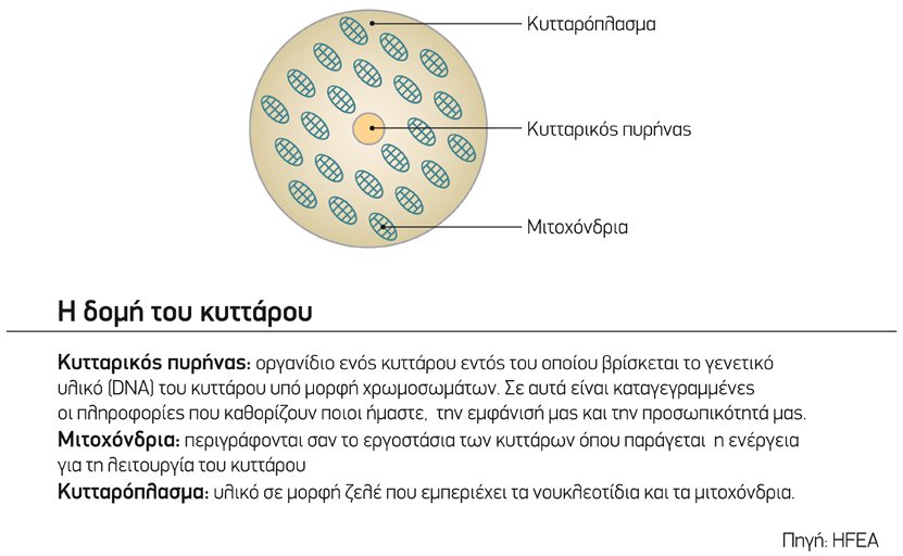 Η δομή του κυττάρου