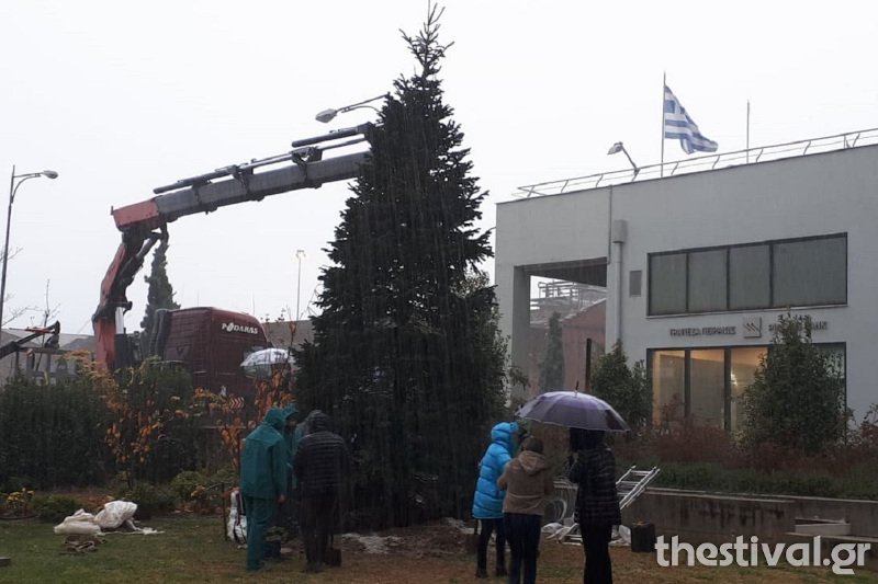 Το έλατο στο κτίριο της Περιφέρειας Κεντρικής Μακεδονίας / Φωτογραφία: thestival