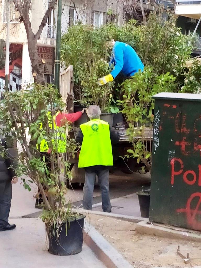 γλαστρες