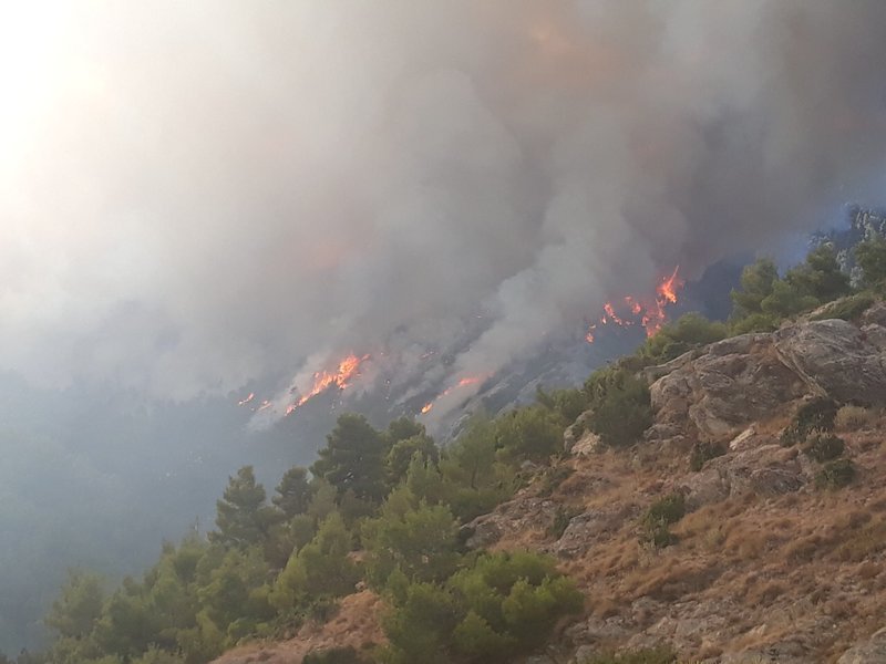 Η χαράδρα όπου εκδηλώθηκε η μεγάλη αναζωπύρωση στην Κεντρική Εύβοια