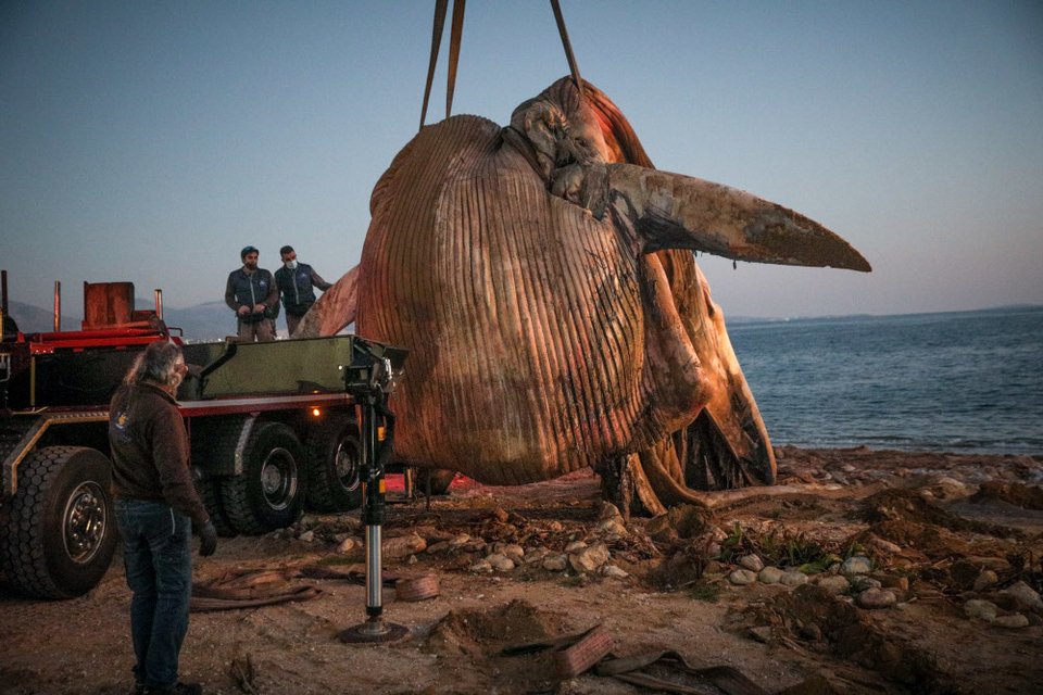 Απίστευτες εικόνες στη Φρεαττύδα