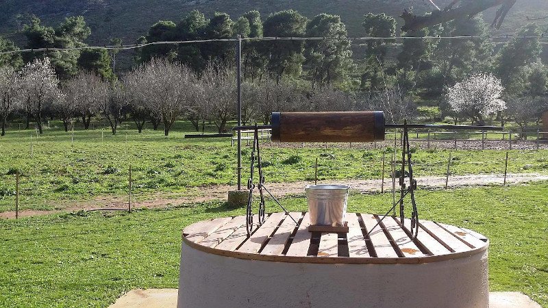 Φωτογραφία: Facebook Farmamoo @farmamoo