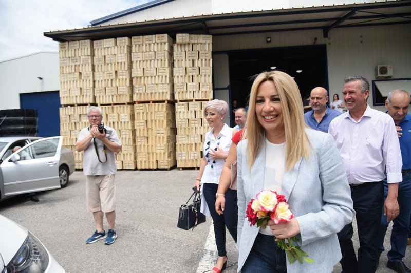 Εδεσσα: Τη μείωση του ΦΠΑ των αγροτών στο 13% πρότεινε η Φ. Γεννηματά