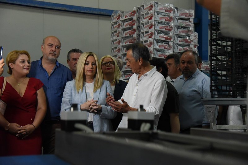 Η Φώφη Γεννηματά κατά την επίσκεψή της στο Διαλογητήριο Φρούτων Τσομλέκτσογλου στην Έδεσσα.
