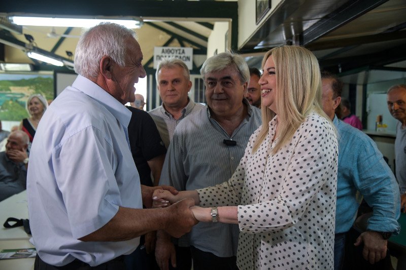 Επίσκεψη της Φώφης Γεννηματά στο Μενίδι -Φωτογραφία: EUROKINISSI/ΜΙΧΑΛΗΣ ΚΑΡΑΓΙΑΝΝΗΣ