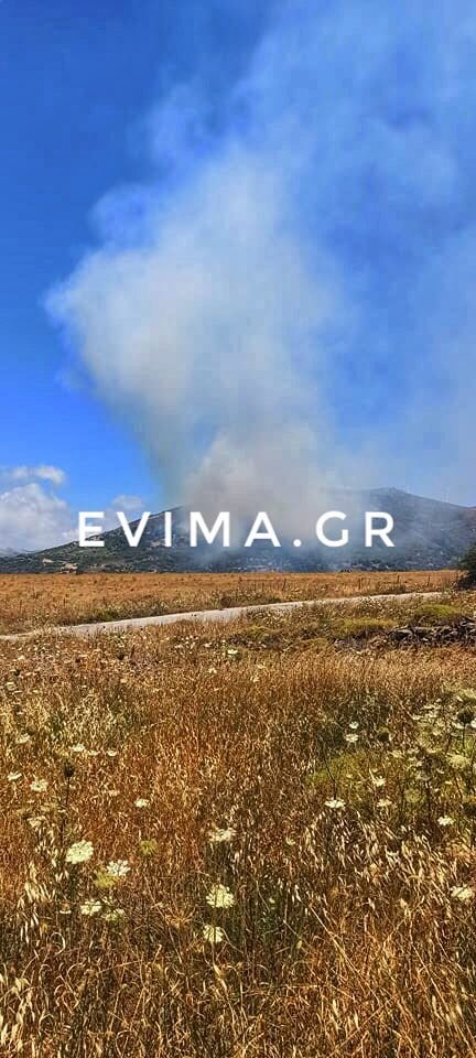 φωτιά Κάρυστος Εύβοιας
