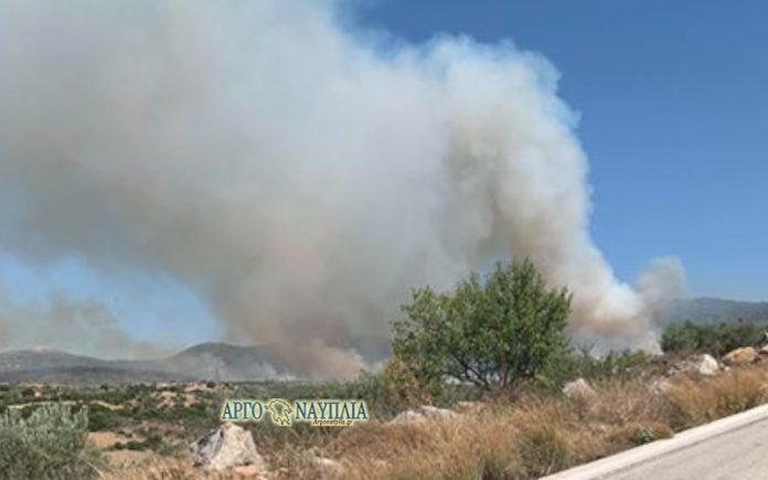 Φωτιά στην περιοχή Κολιάκι του Δήμου Επιδαύρου