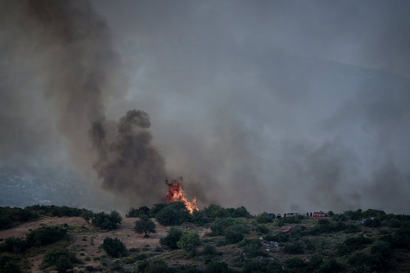 Φωτογραφία: EUROKINISSI/ΜΙΧΑΛΗΣ ΚΑΡΑΓΙΑΝΝΗΣ