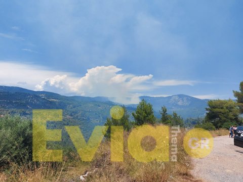 φωτιά Εύβοια