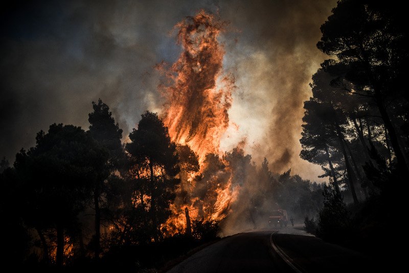 Στις φλόγες συμπαγές πευκοδάσος / Φωτογραφία: Eurokinissi