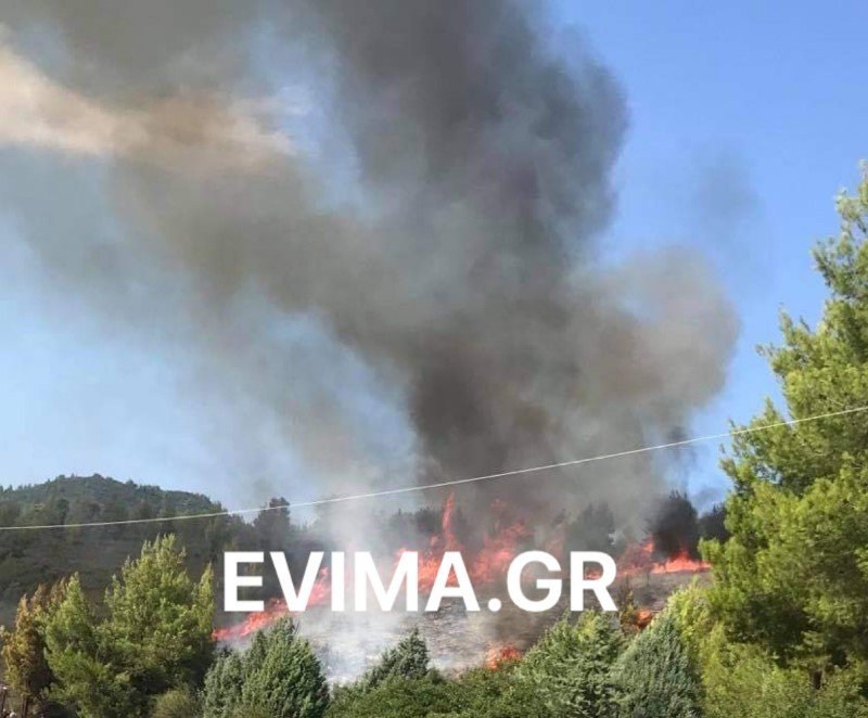 Φωτιά στην Εύβοια