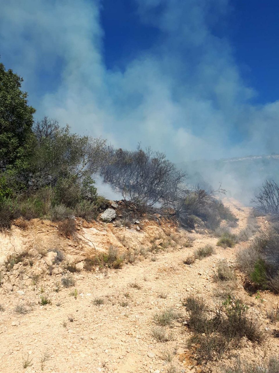 Η φωτιά έχει ξεσπάσει εδώ και λίγη ώρα