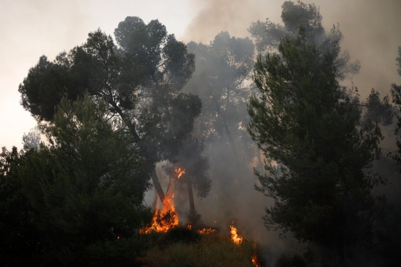 Δέντρα καίγονται από τη φωτιά στο Ισραήλ