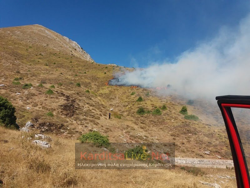 Πυρκαγιά ξέσπασε στην Καρδίτσα / Φωτογραφία: karditsalive.net