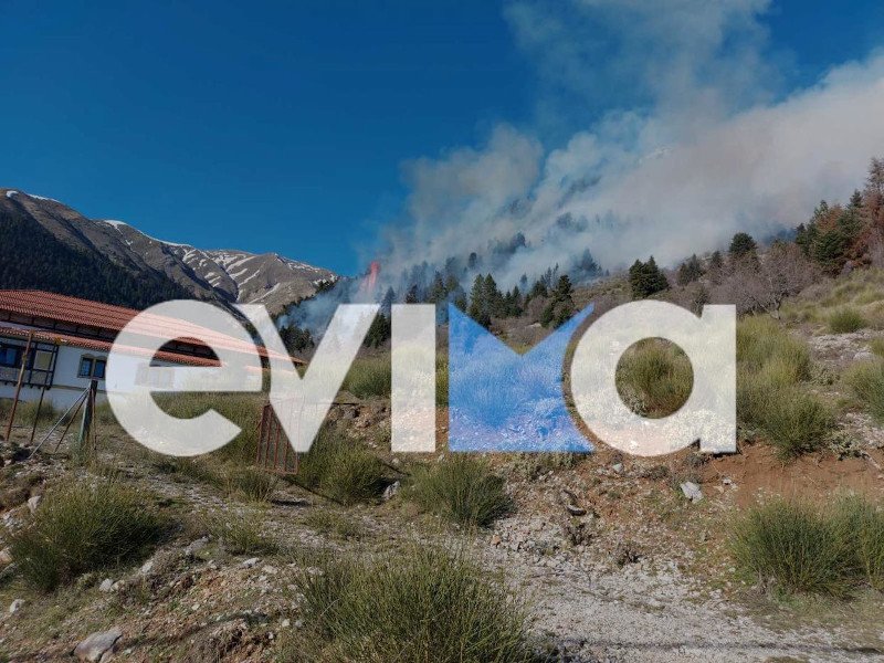 Φωτογραφία: evima