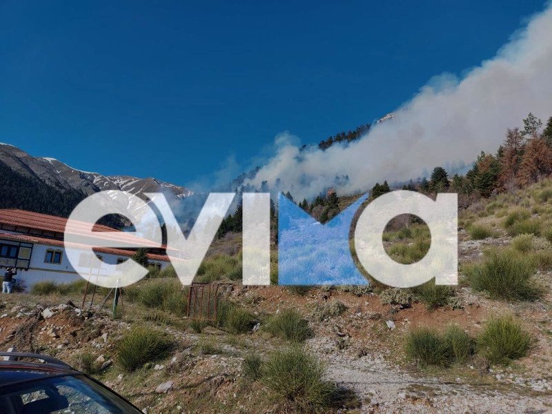 Φωτογραφία: evima