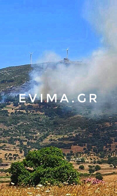φωτιά Κάρυστος Εύβοιας