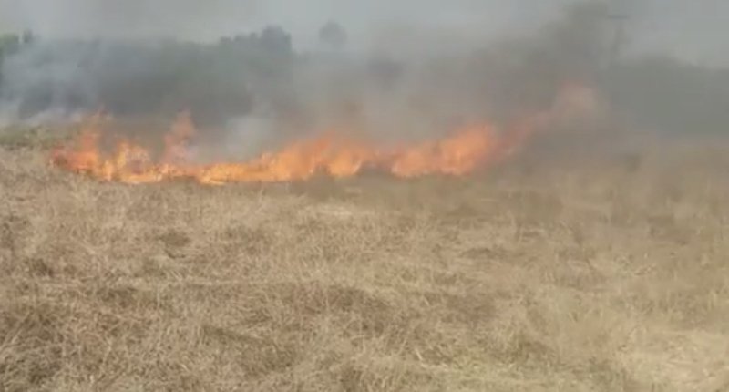 Μεγάλη φωτιά στην Κέρκυρα / Φωτογραφία: corfutvnews.gr