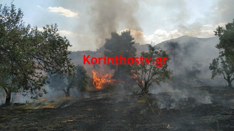 φωτιά στις Κεχριές Κορίνθου