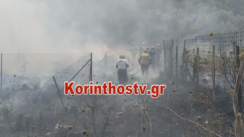 φωτιά στις Κεχριές Κορίνθου