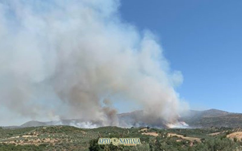 Φωτιά στην περιοχή Κολιάκι του Δήμου Επιδαύρου