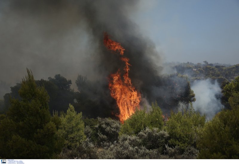 Φωτιά στο Λαύριο