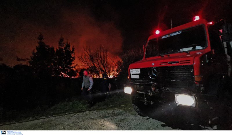 Φωτογραφία: Intimenews/ΜΠΟΥΓΙΩΤΗΣ ΒΑΓΓΕΛΗΣ