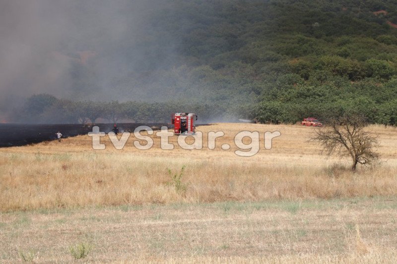 Πάνω από 100 πυροσβέστες κλήθηκαν για να δώσουν μάχη με την πυρκαγιά