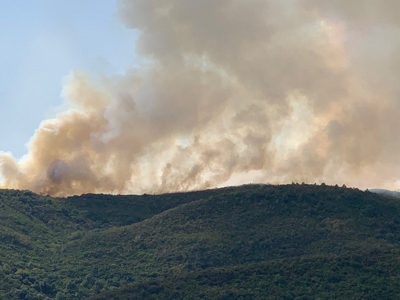 Μεγάλη κινητοποίηση της πυροσβεστικής για την πυρκαγιά στο Αγρίνιο
