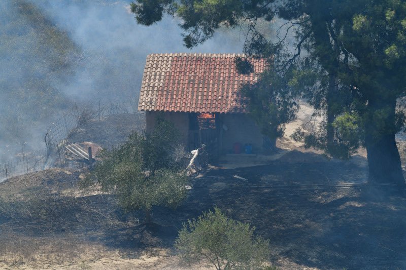 Φωτογραφία: EUROKINISSI/ILIALIVE.GR/ΓΙΑΝΝΗΣ ΣΠΥΡΟΥΝΗΣ
