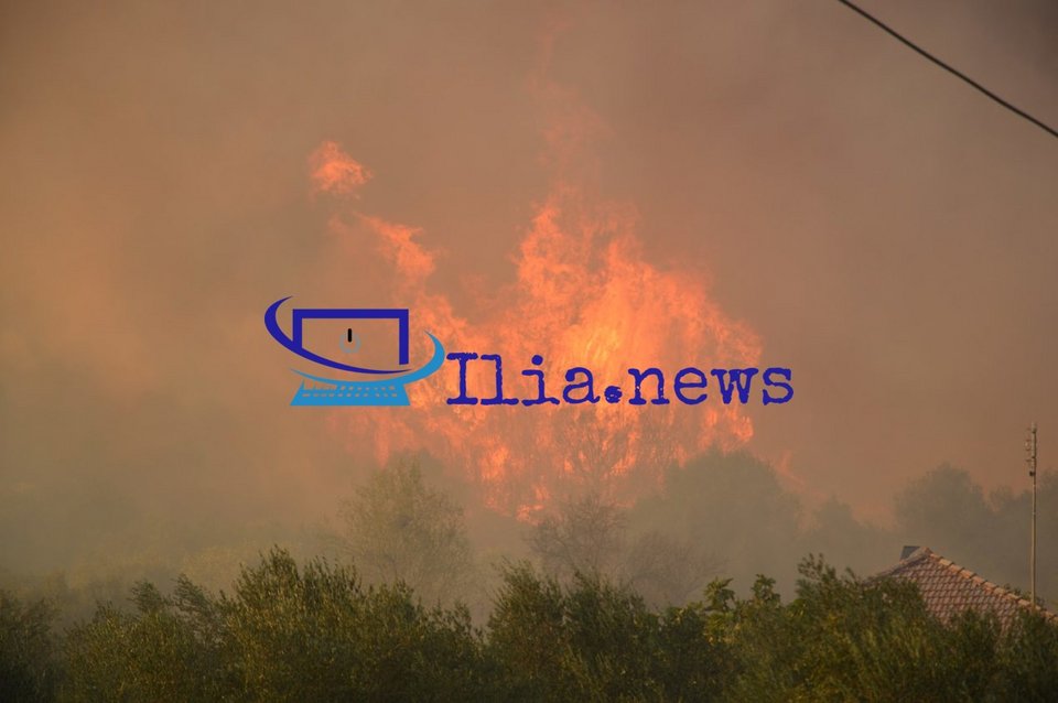 Πύρινο μέτωπο στην Ηλεία/ Φωτογραφία: Ilianews