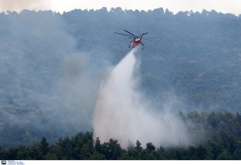 Πυροσβεστικό ελικόπτερο στην φωτιά της Τανάγρας