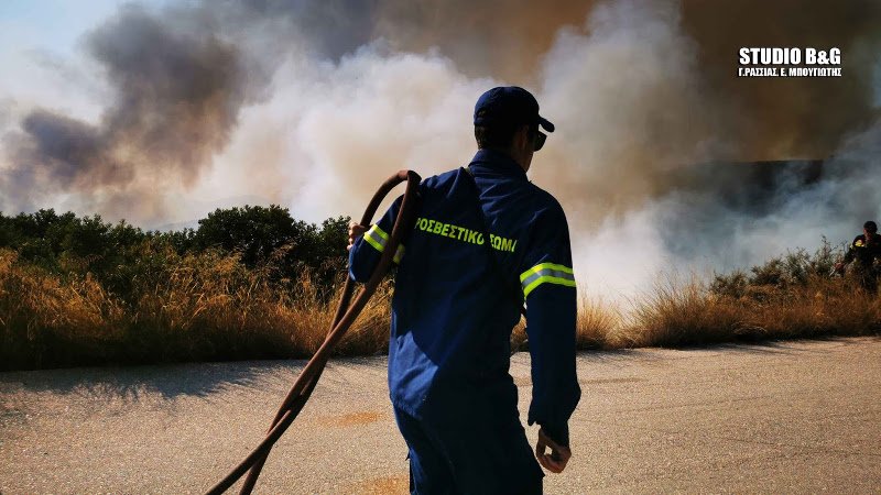 Η πυροσβεστική προσπαθεί να θέσει υπό έλεγχο τη φωτιά / Φωτογραφία: argolikeseidhseis.gr
