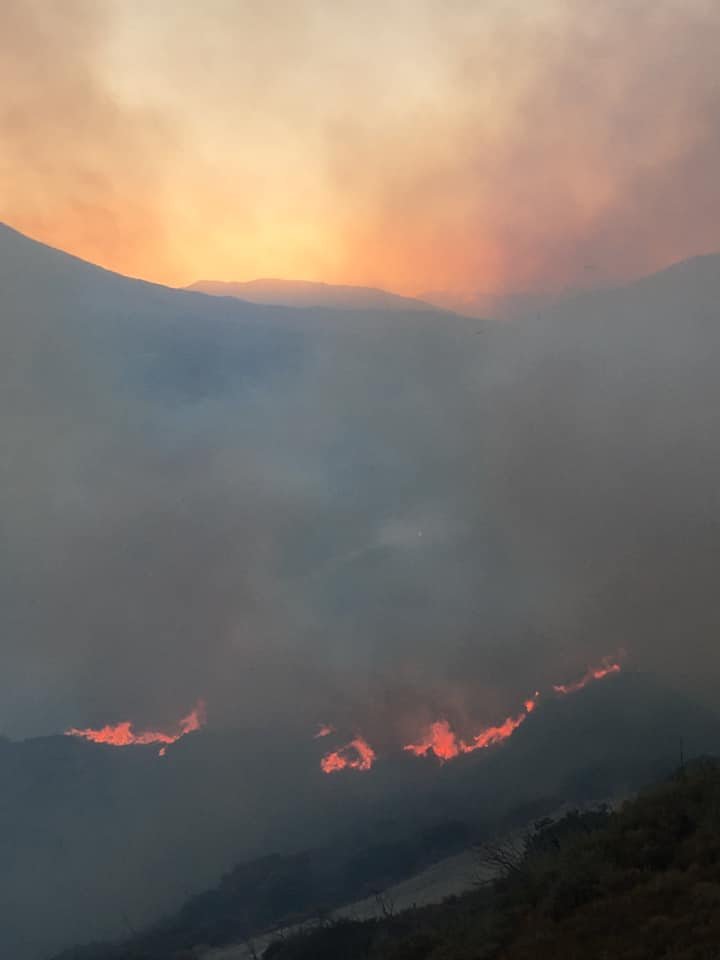 Μάχη με τις φλόγες δίνουν οι Πυροσβέστες